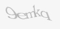 Beveiligingscode